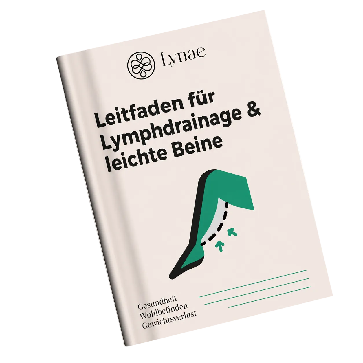 Lymph Leitfeiden