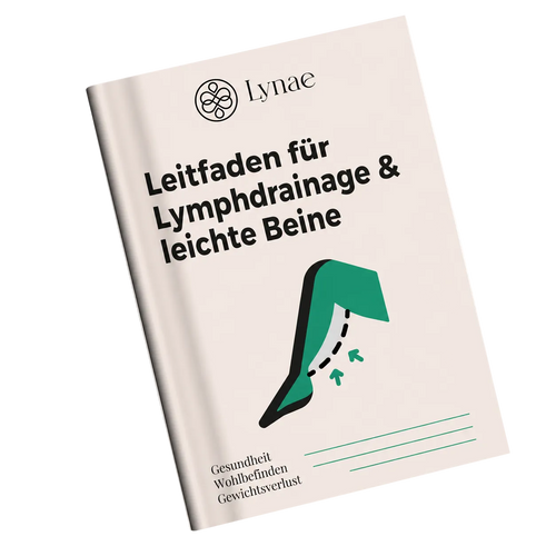 Lymph Leitfeiden